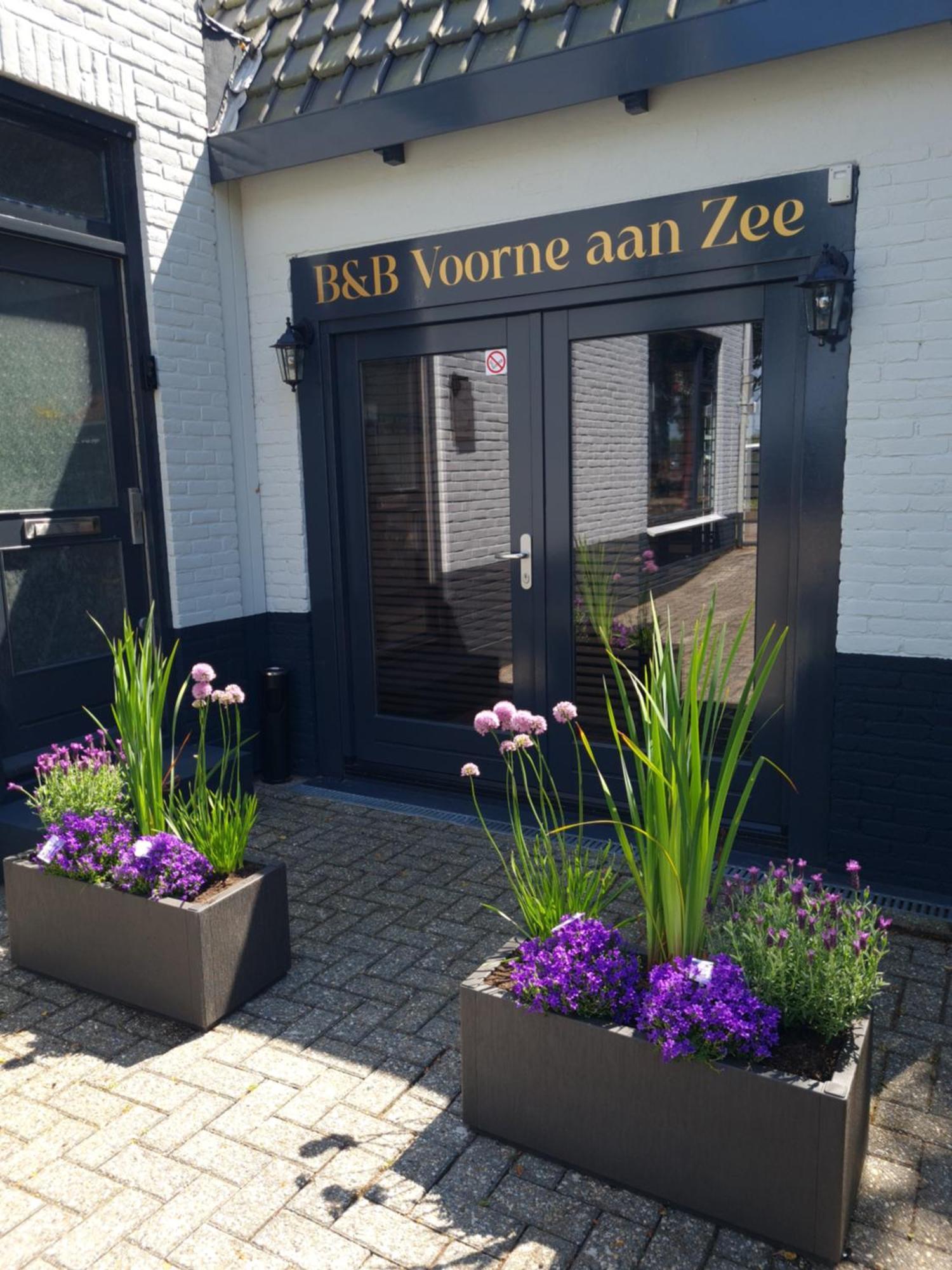 B&B Voorne Aan Zee Rockanje Ngoại thất bức ảnh